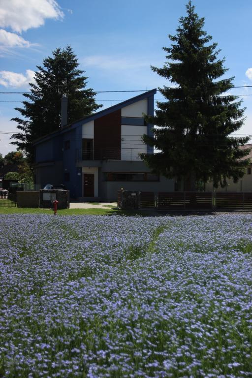 Ferienwohnung Modry Dom Spišské Bystré Exterior foto